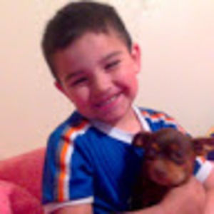 Meet your Posher, Alexa